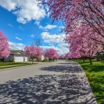 Spring is the best time to replace your roof