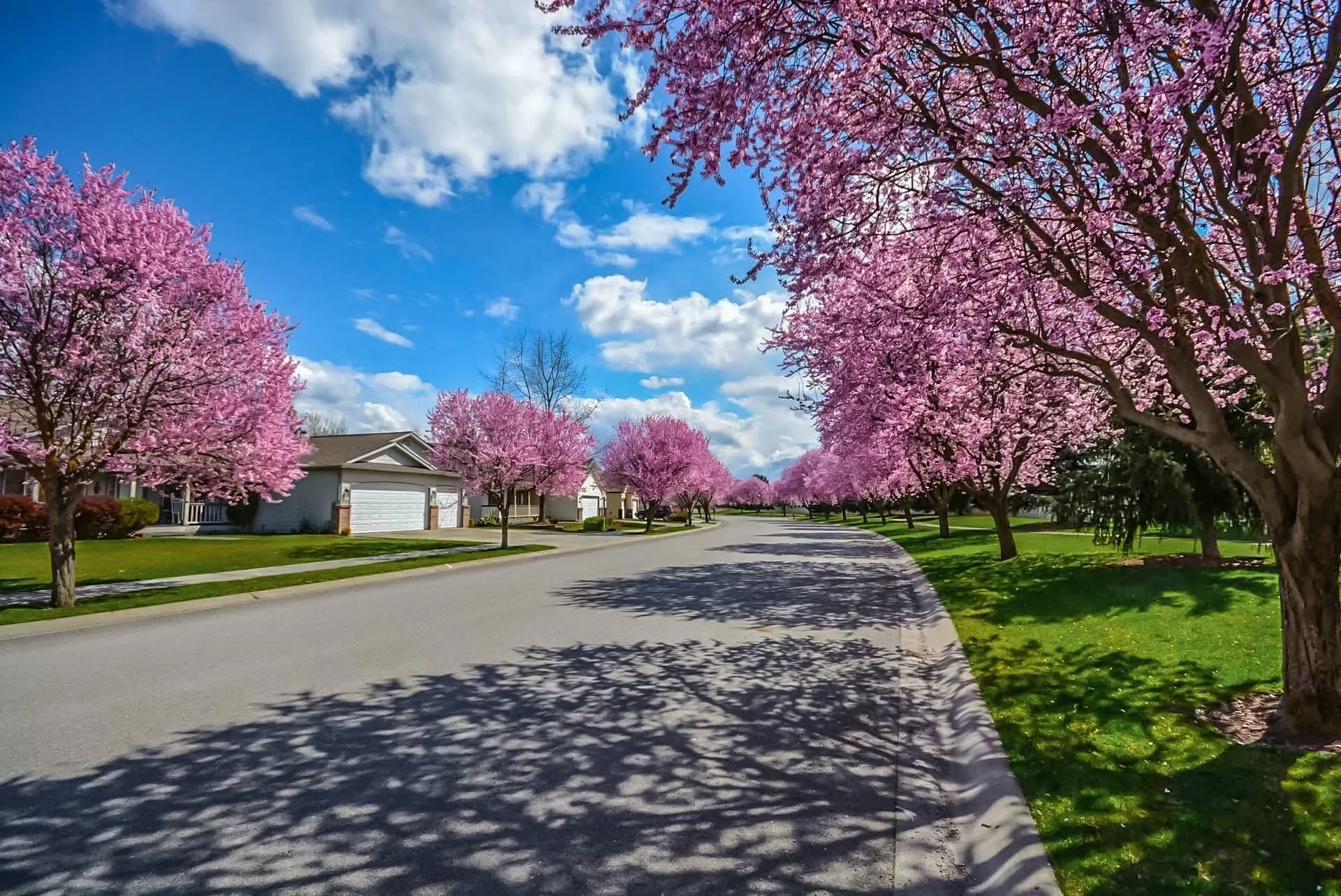 Spring is the best time to replace your roof