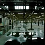 What are the consequences of a leaking commercial roof?