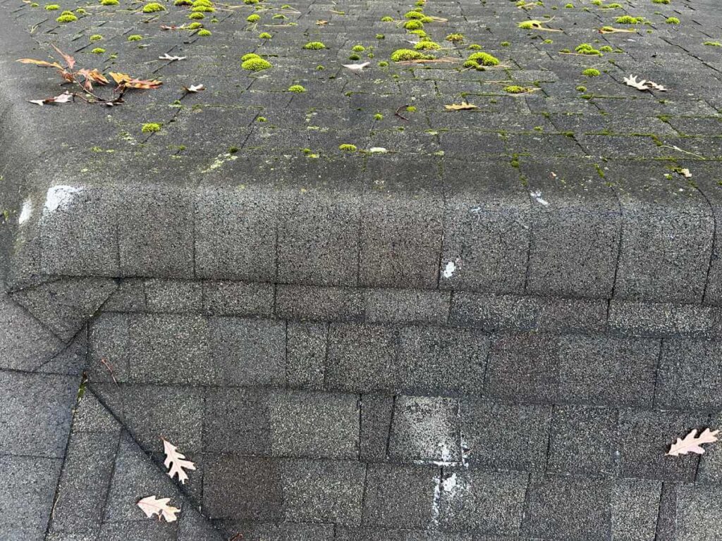 Roofing crew on a residential roof